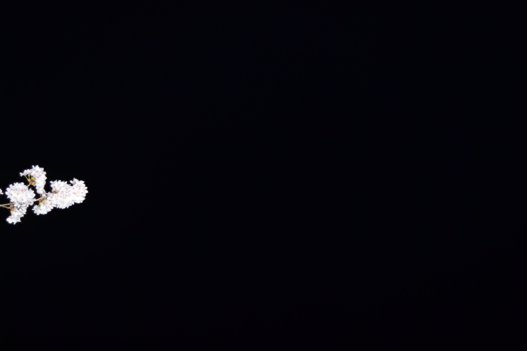 DSC_0399