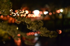 夜桜
