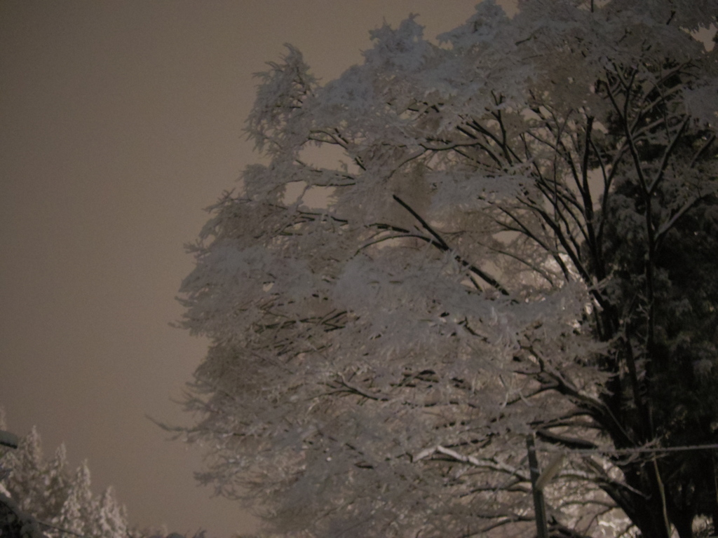 雪花2