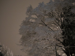 雪花2