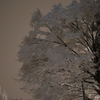 雪花2