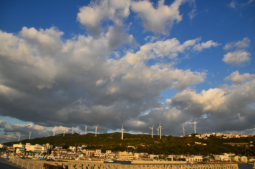 丸山海釣り公園周辺