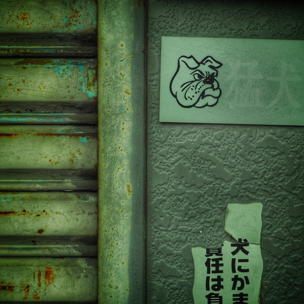  Beware of the dog