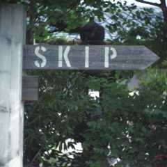 skip