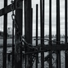 All along the cage
