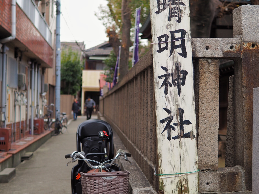 boundary line