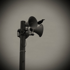 speaker