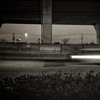 Arrow of Light