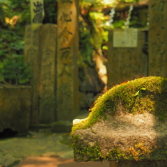 苔のむすまで