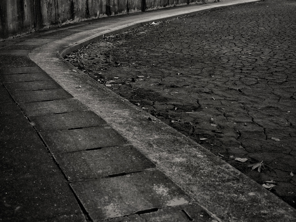 barren ground