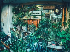 flower shop