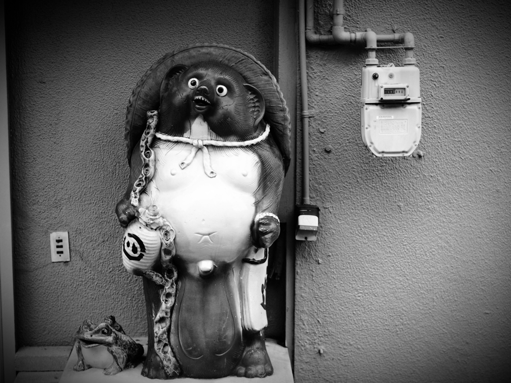 tan tan tanuki no .....