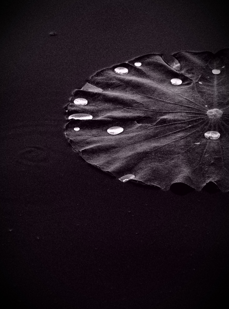 water drops