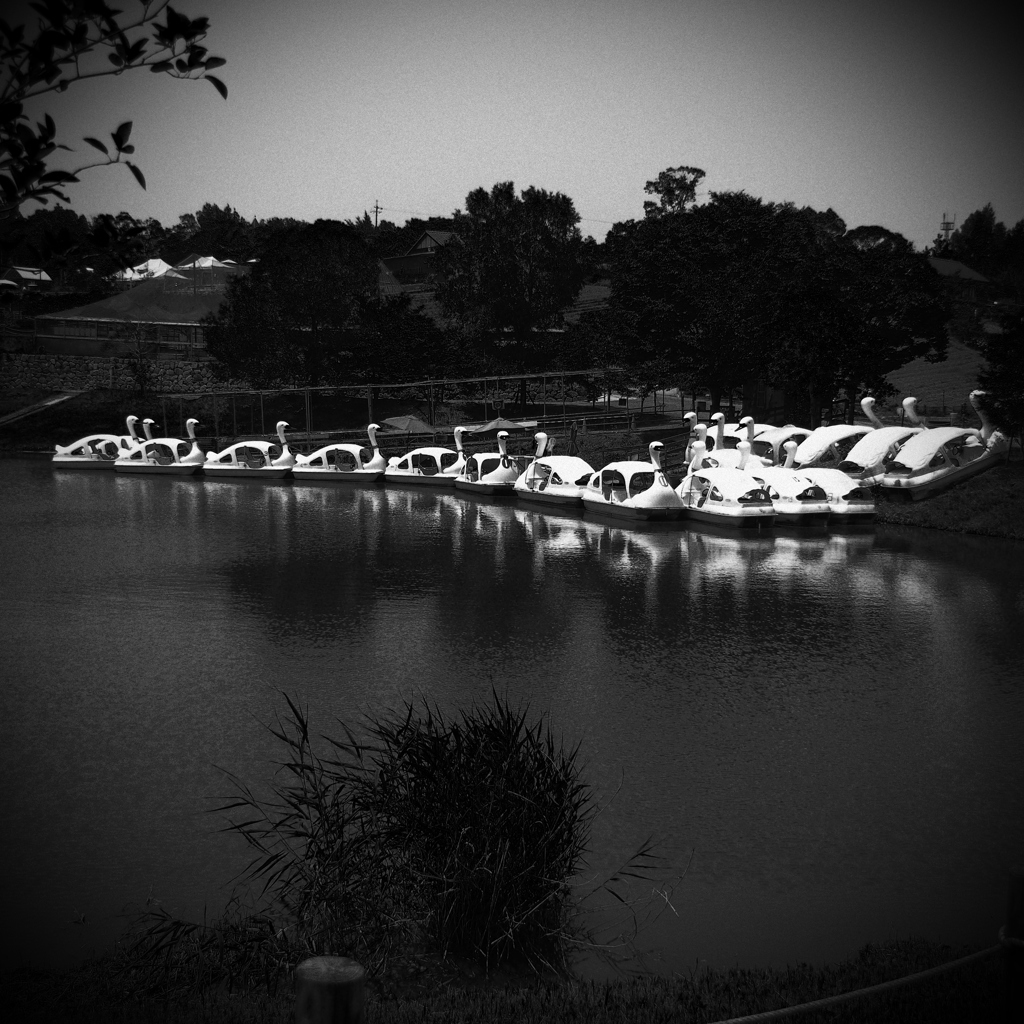 backstage 白鳥の湖　舞台裏