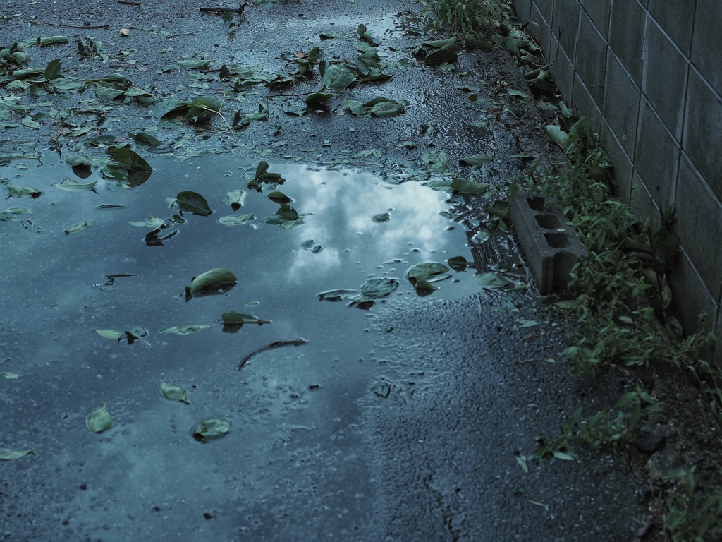 after the storm