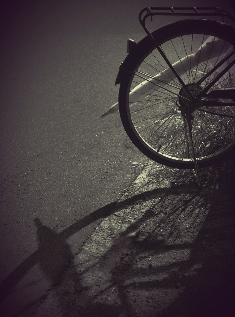 wheel and umbrella