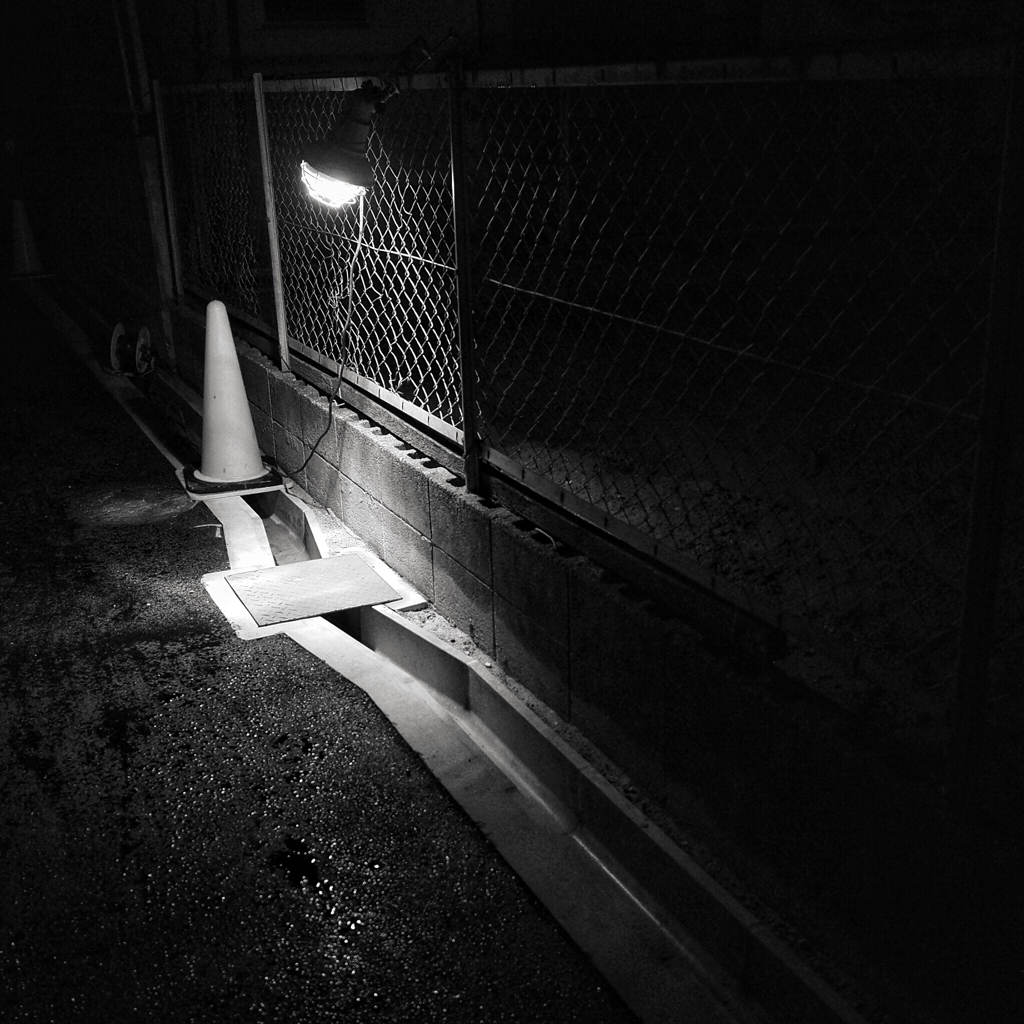 light of the world