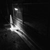 light of the world