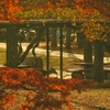 Autumn in Nara