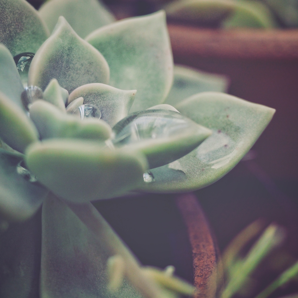 After rain comes fair weather