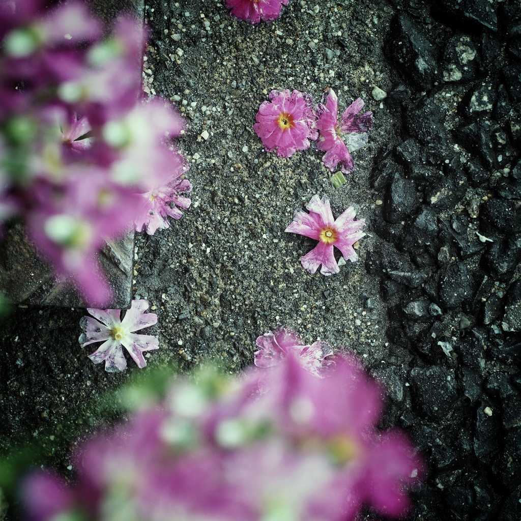 After rain comes fair weather