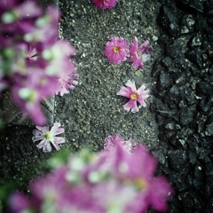 After rain comes fair weather