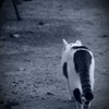going home