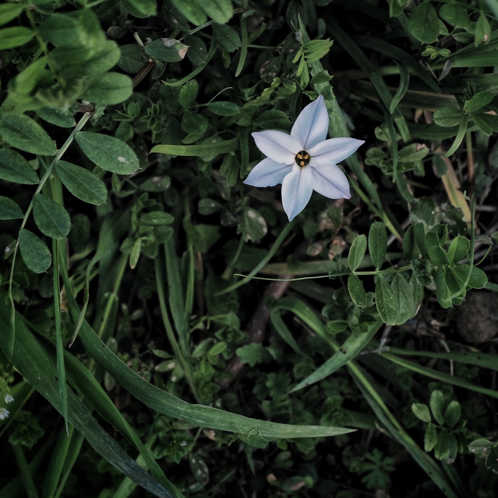 Spring has come