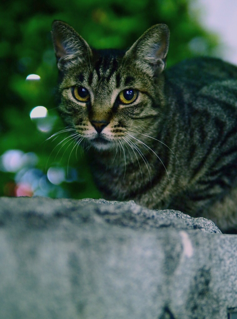 deep look
