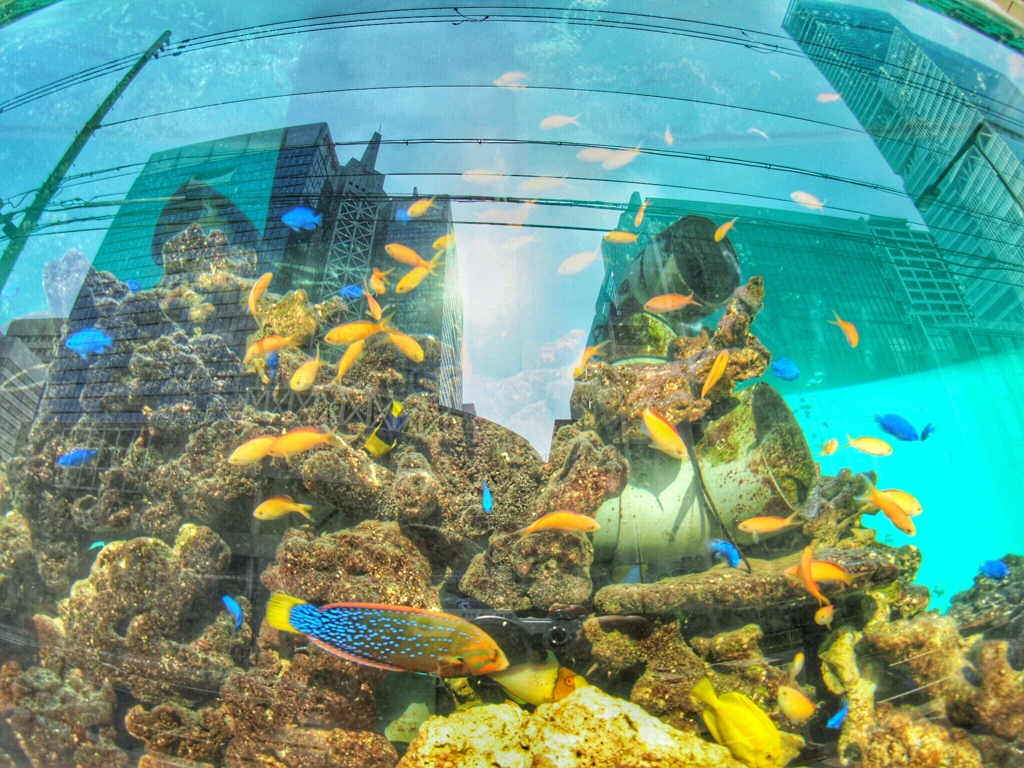 Buildings in the sea