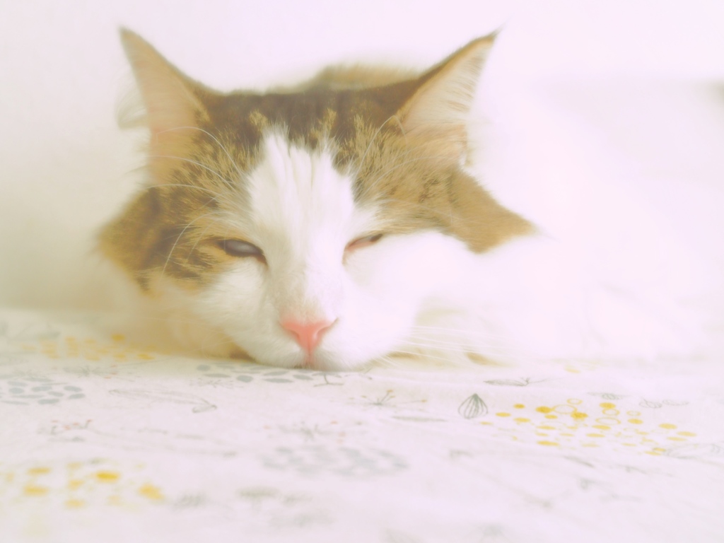 Sleeping