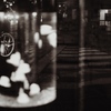 jellyfish street