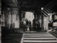osaka street snap ~zebra crossing~