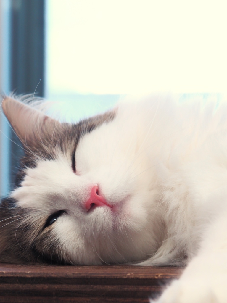 sleeping