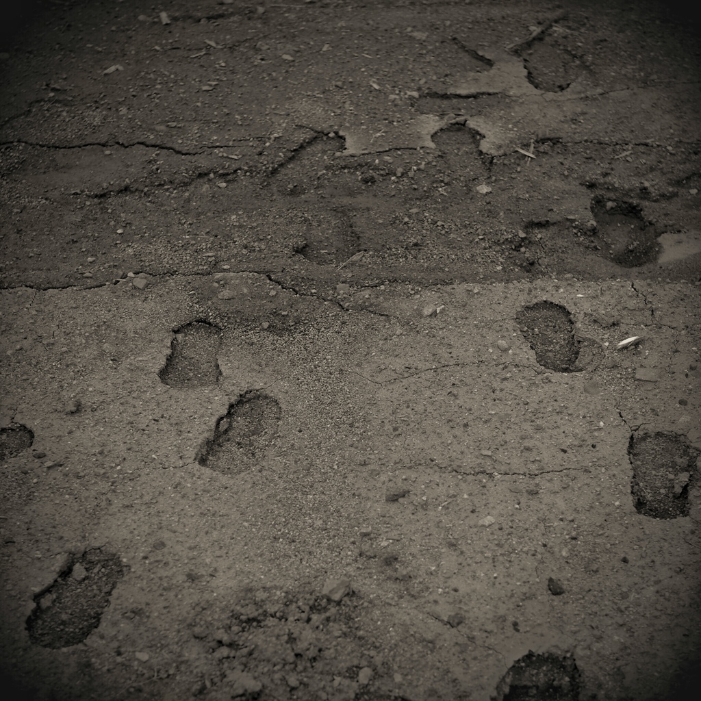 shoeprints