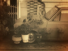rotten car