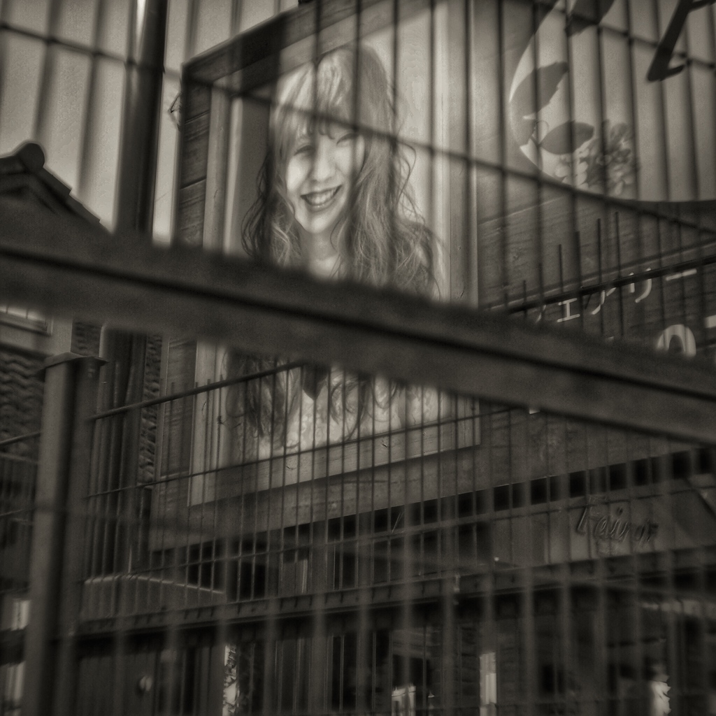 Fairy in the cage