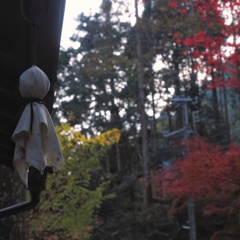 Autumn In Kyoto