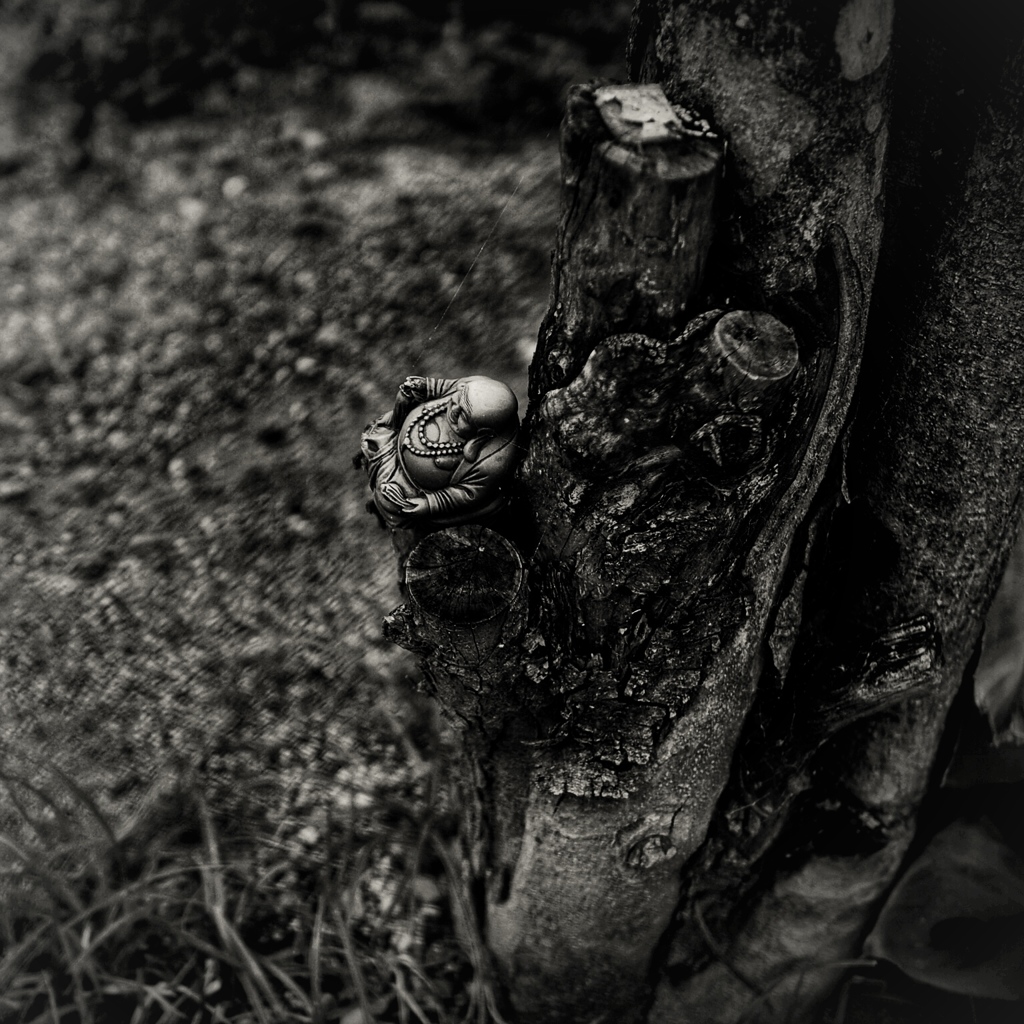 Hotei-sama on the tree