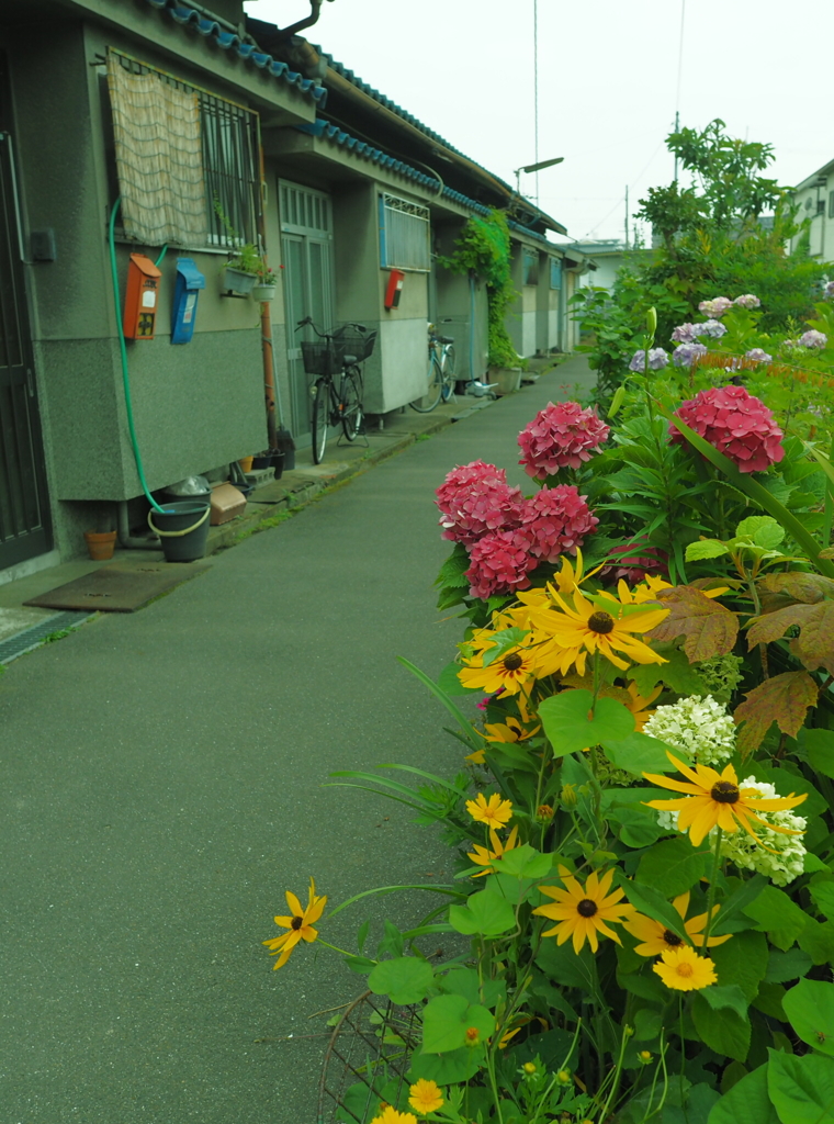 長屋と花と