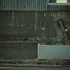 roadside