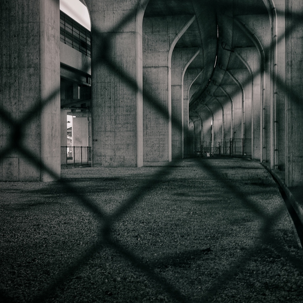 echoes 