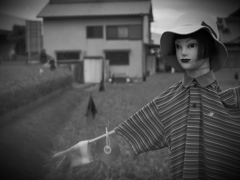 Miss scarecrow in japan entry number 2