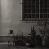 planter and pot