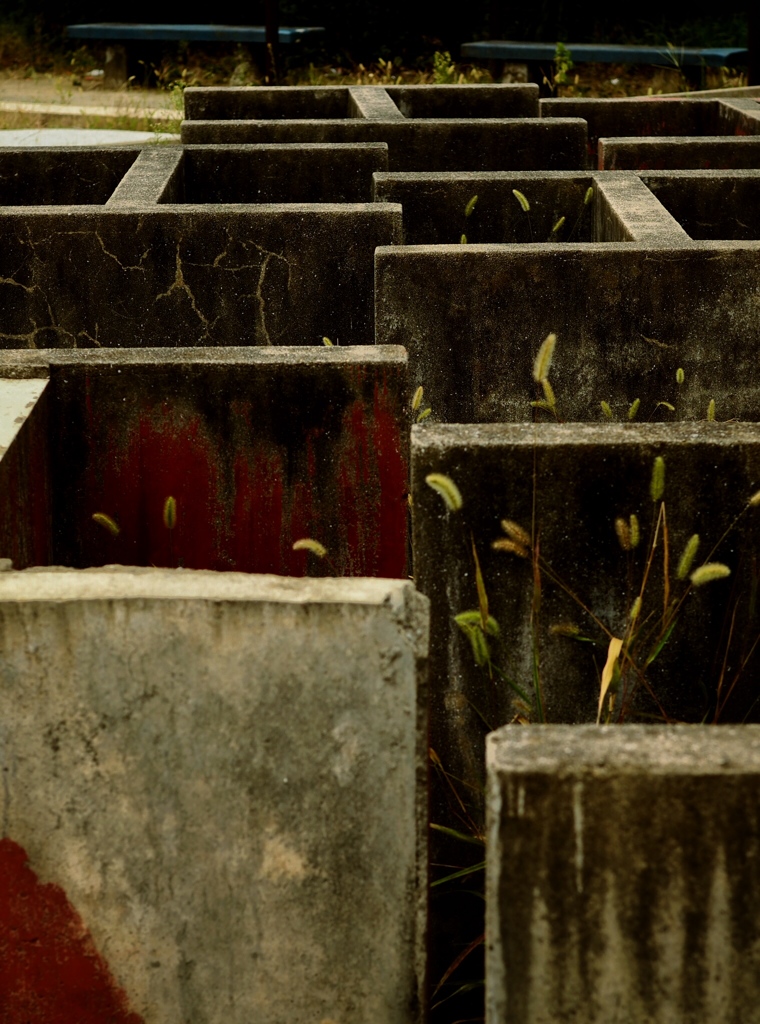 maze