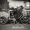 tricycle
