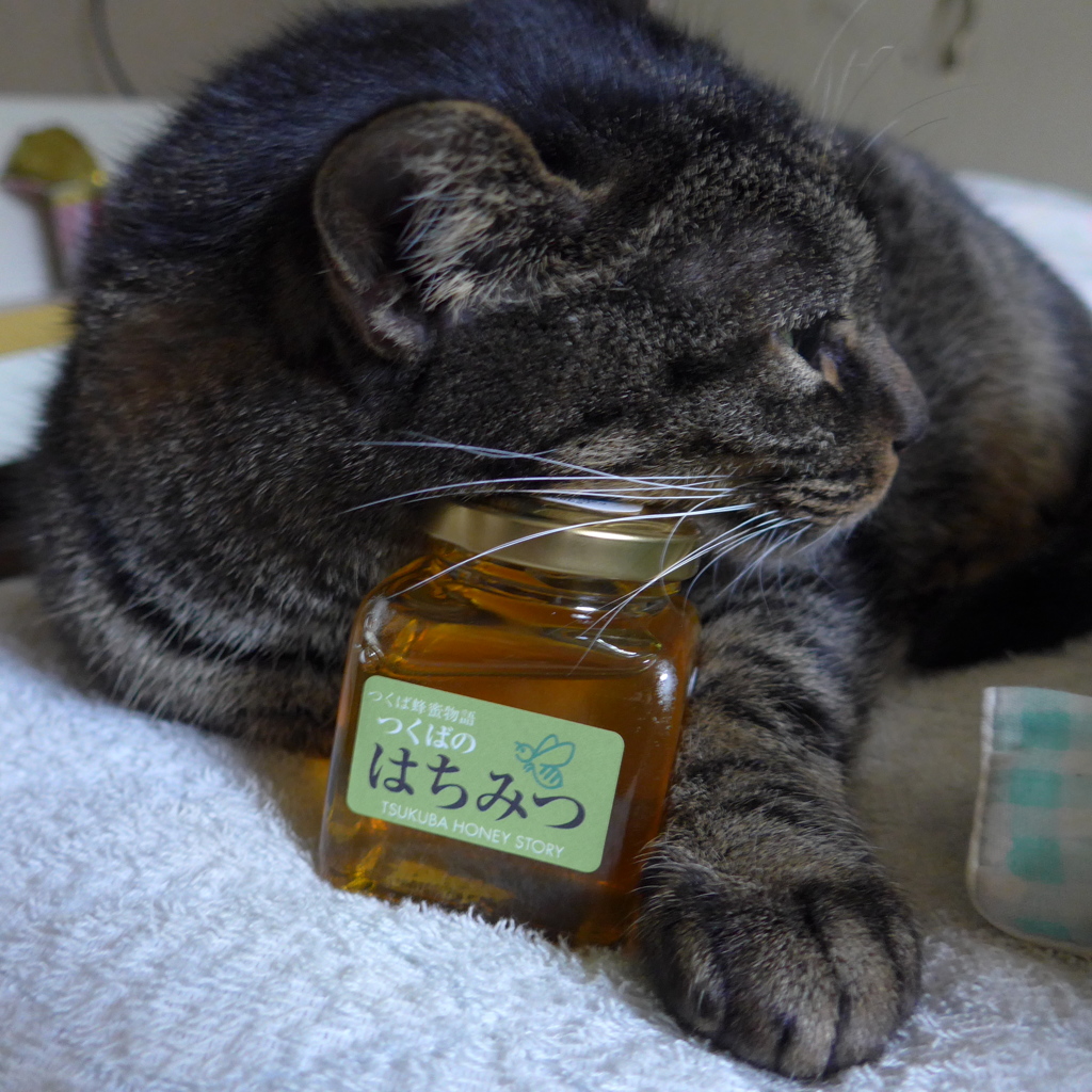 つくばのはちみつ