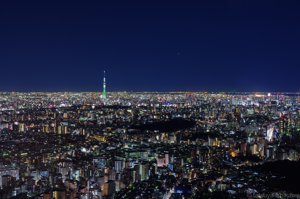 蒼く、静かな夜