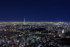 蒼く、静かな夜
