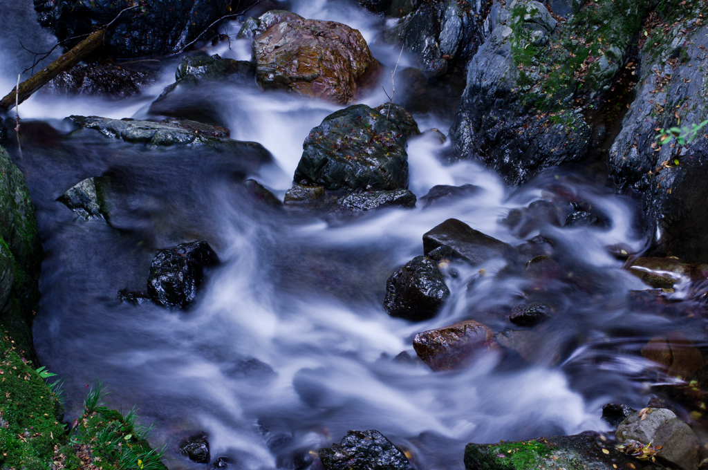 IMGP3095-2